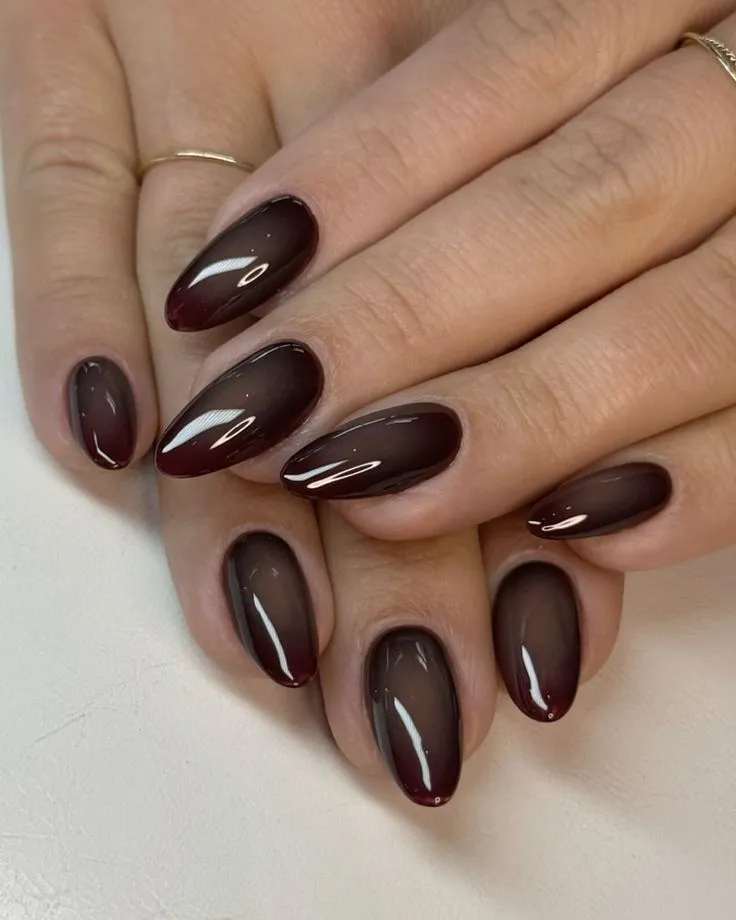 Dark brown ombre to light brown nails